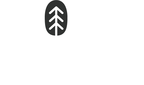 trakya taş ev